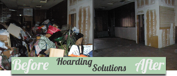 organizing solutions chicago